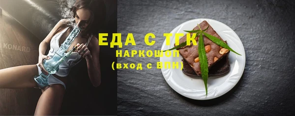индика Богородск