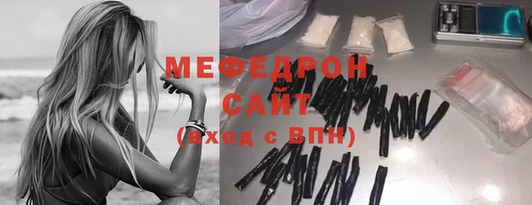 индика Богородск