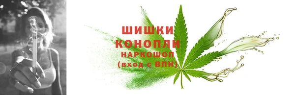 индика Богородск