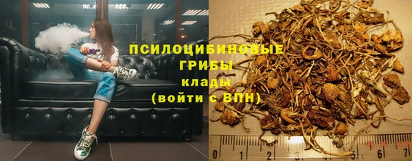 индика Богородск