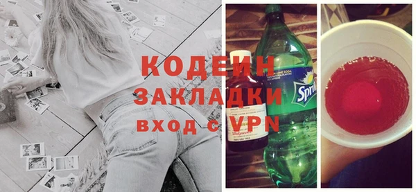 индика Богородск