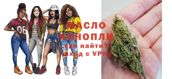 индика Богородск