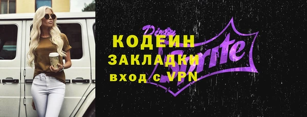 индика Богородск
