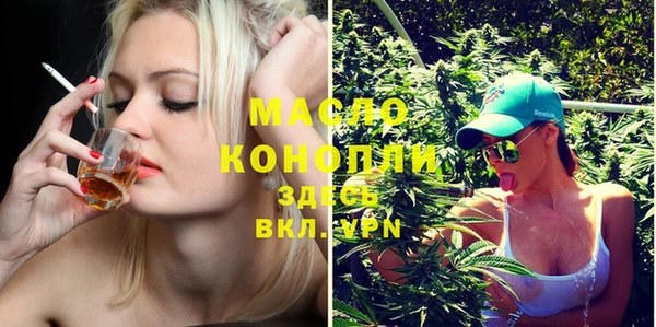индика Богородск