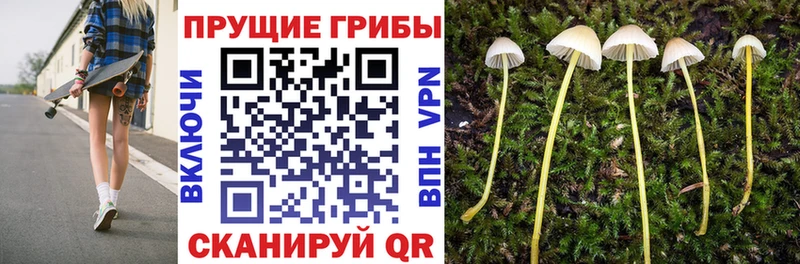 Галлюциногенные грибы MAGIC MUSHROOMS Верещагино